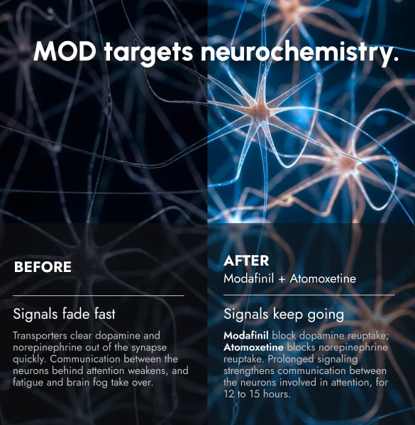 MOD FOCUS prescription liquid energy formulated to promote sustained alertness and focus — slide 4